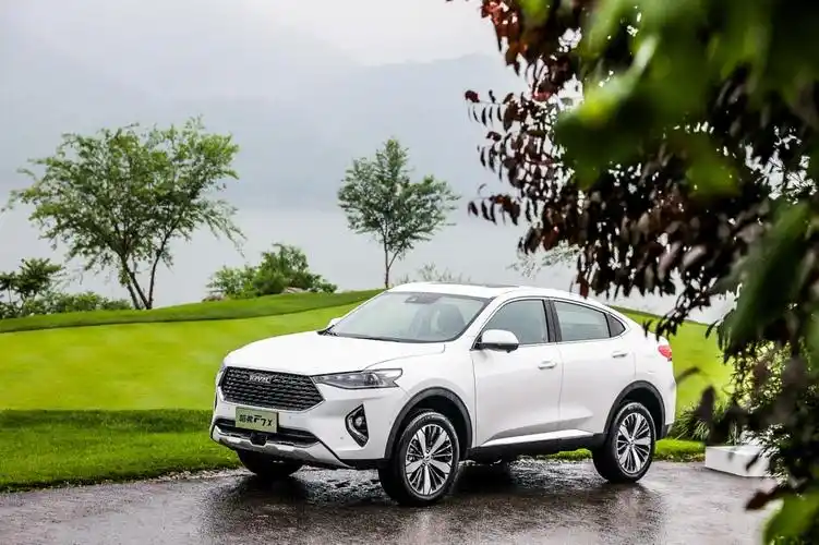 集结三剑客种草90后年轻人的菜都在哈弗f7x碗里