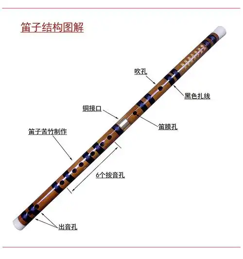 去节中空成内膛,外呈圆柱形,在管身上开有1个吹孔,1个膜孔,6个音孔,2