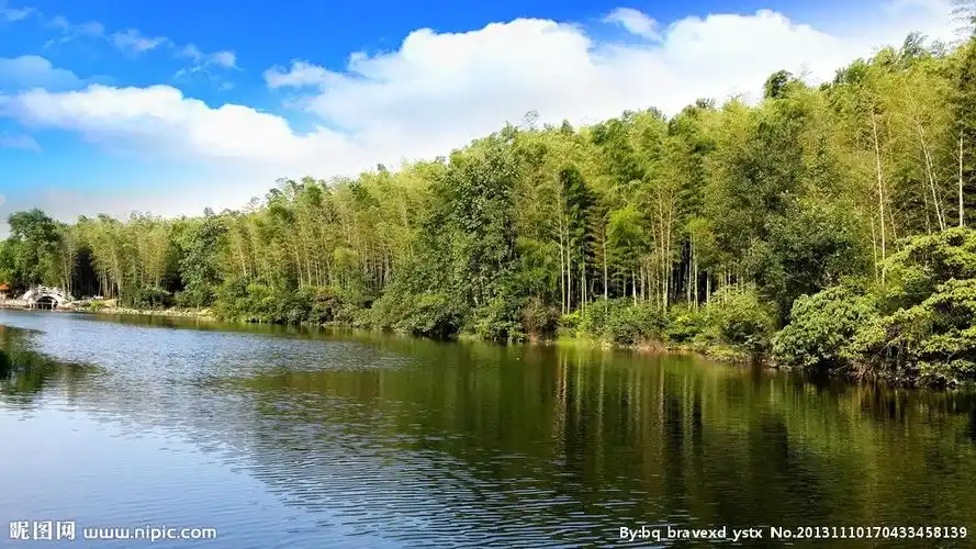 rgb40共享分举报收藏立即下载×关 键 词:山水风景 山水 风景 竹林