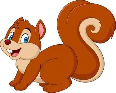 白色背景的卡通滑稽松鼠照片