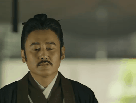 大军师司马懿吴秀波好吧gif动图_动态图_表情包下载_soogif