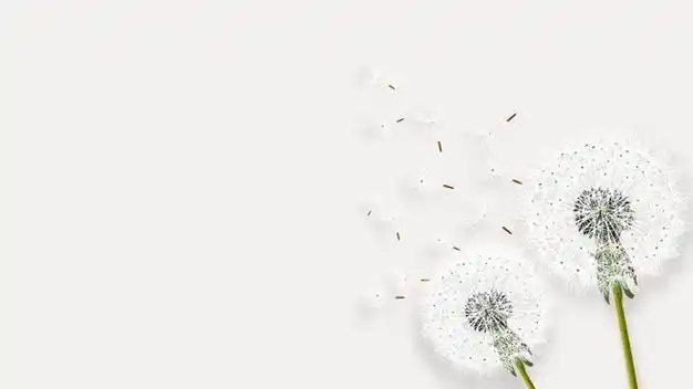 艺术背景图片ppt模板_艺术设计ppt背景模板_抽象艺术ppt背景图片 | 优