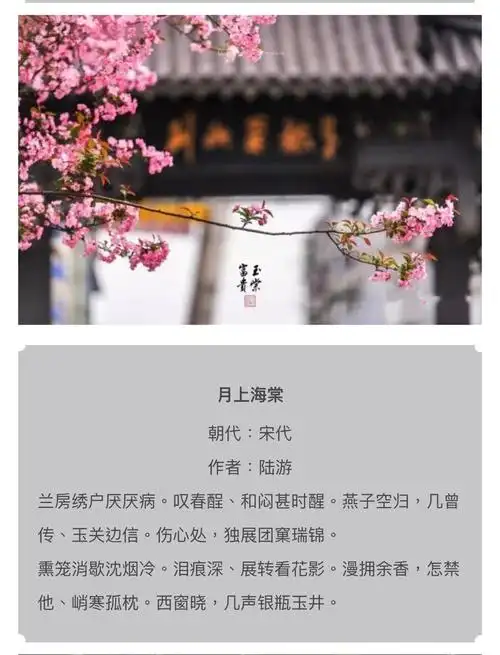 一帘春色入梦来盘点最美诗词之海棠