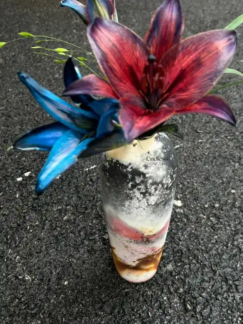 千万别碰这花有毒