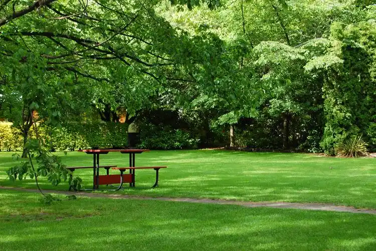 公园,草地,长凳,大自然,照片,2048x1365