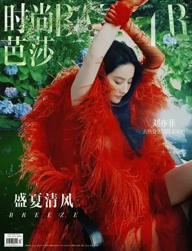 我宣布:这两张才是真正的芭莎封面!