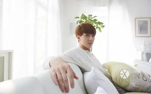 养眼帅哥exo吴世勋高清电脑桌面壁纸第一辑