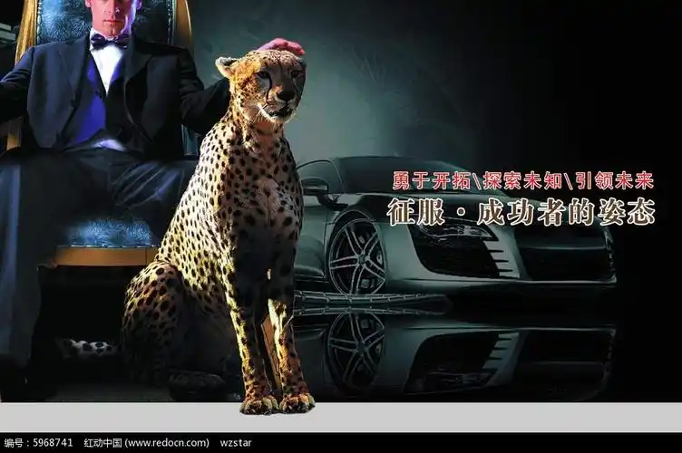 征服霸气豹子海报背景素材