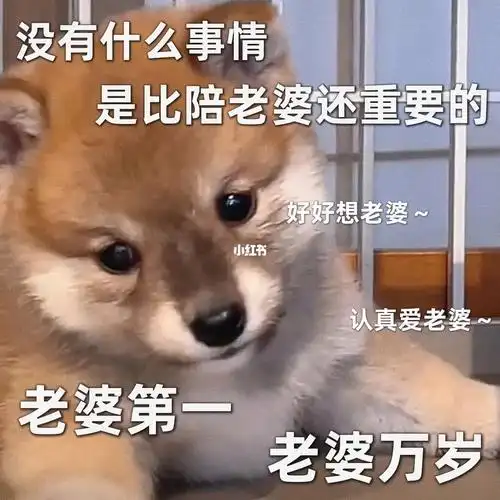 表情包天大地大老婆最大60