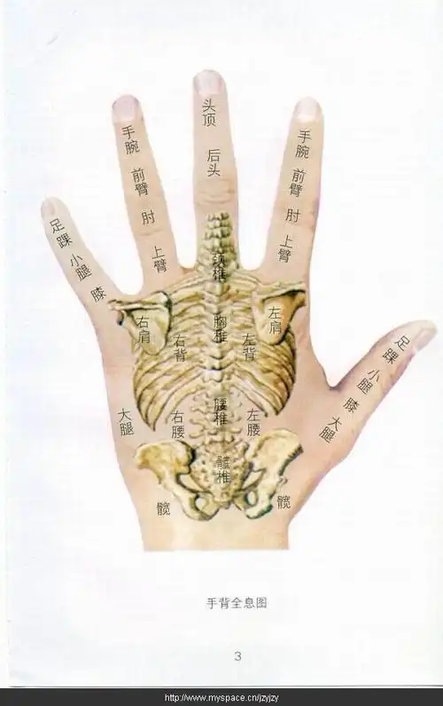 手掌穴位按摩方法