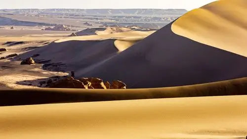 无人区的精彩世界