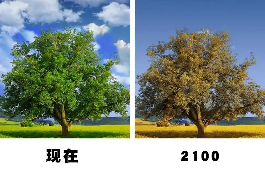 到了2100年,7个可能使世界变得完全不同的重大变化
