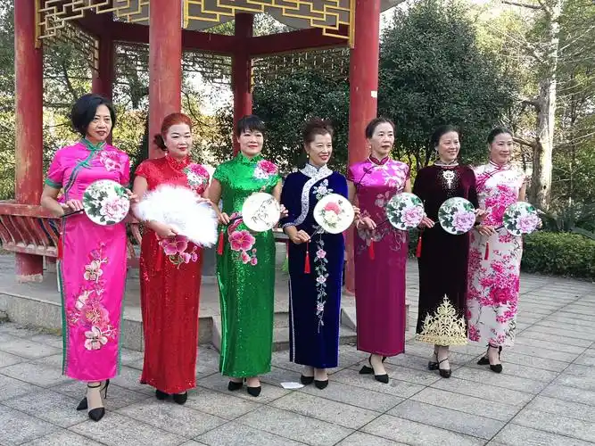 老年大学旗袍美女展风采