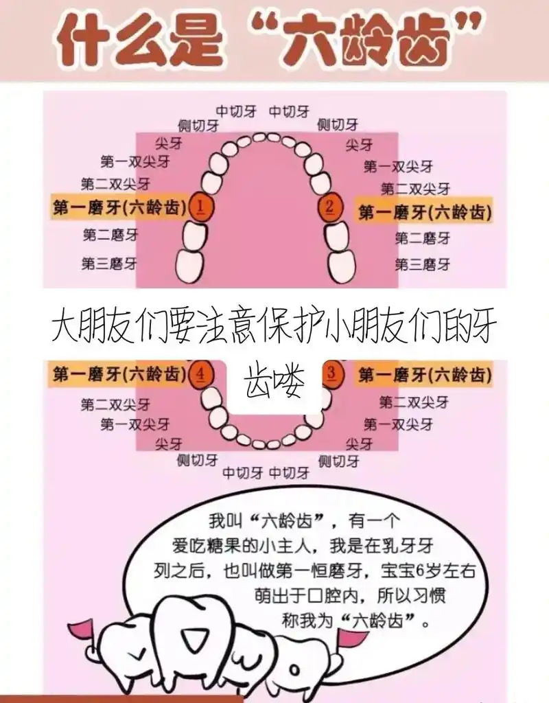 96为什么六龄齿最容易长蛀牙? 作为第一恒磨牙,六龄齿萌出最 - 抖音