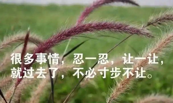 现实的人生感悟的句子( 现实的人生感悟的句子2021 )