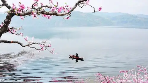 雨是江南独有的,似雨似雾,丝丝缕缕;桃花潭也是江南独有的,在青弋江上