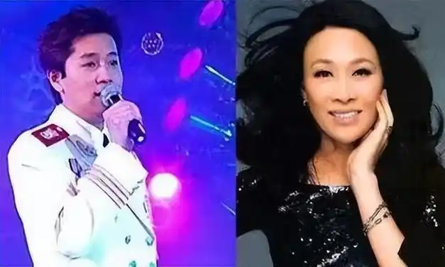 那英又看上了解晓东,但是还是那英上赶着和解晓东处对象,但是解晓东