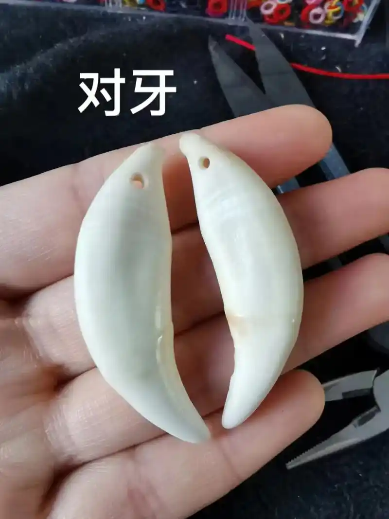 纯手工编绳 #黑狗牙 #挂饰挂件  #手链 #朱砂 - 抖音