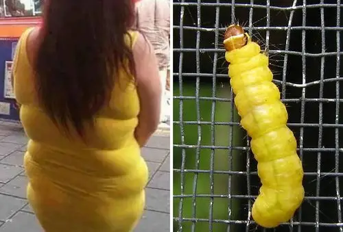 这场时尚界的另类撞衫,你更看好谁?