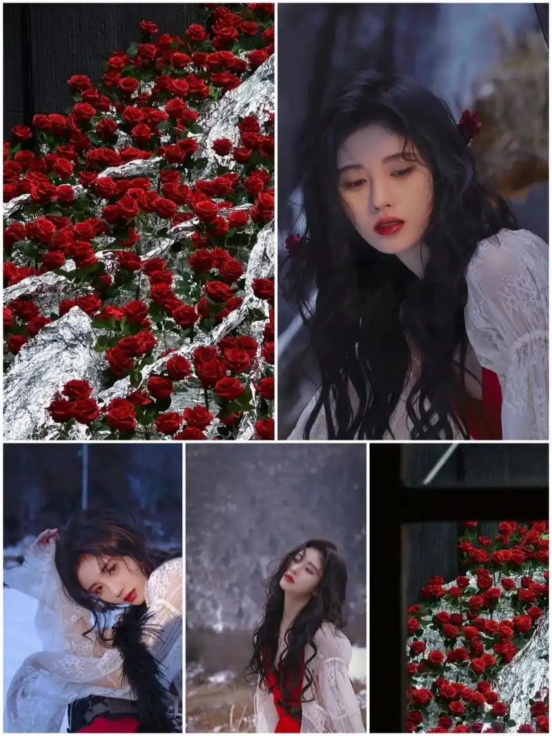 绝美小鞠壁纸|鞠婧祎🌹 无水印→保存图片截图使用哈(玫瑰花壁纸在