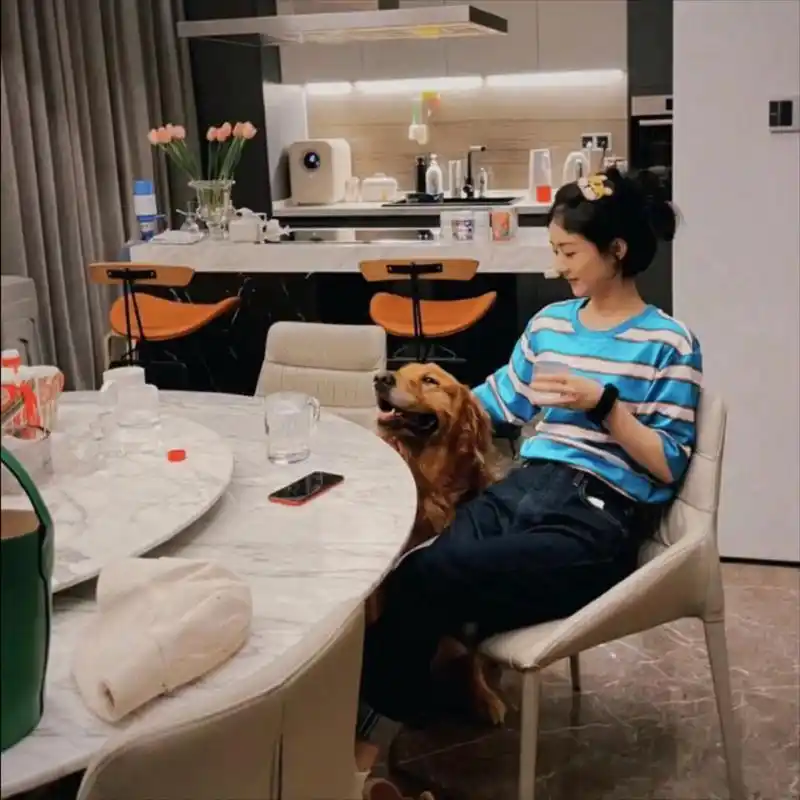 赵丽颖北京房子,一看就十分豪气,还有大狮子 赵丽颖房子真豪气,大狮子