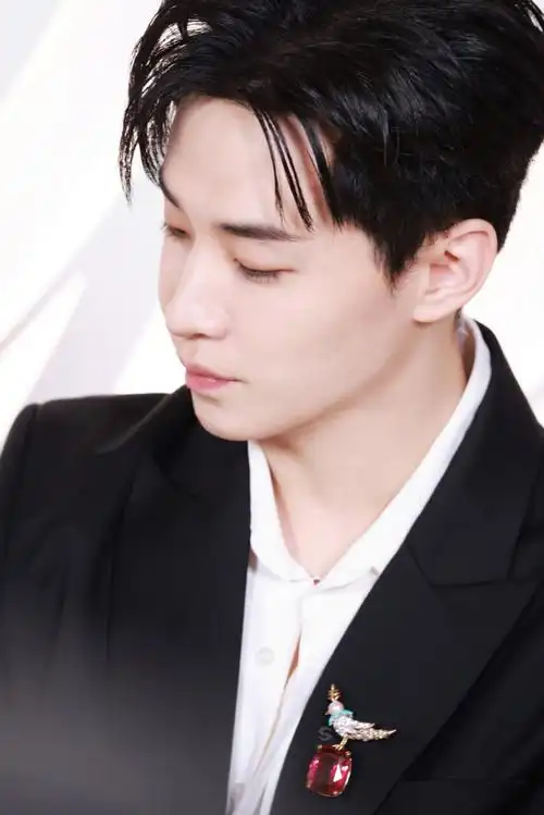 上海tiffany活动henry刘宪华  发电厂饭拍 495    刚刚有人说你帅!