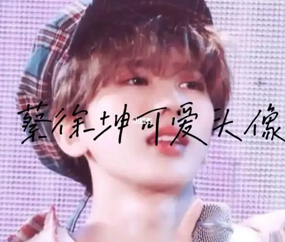 蔡徐坤可爱头像