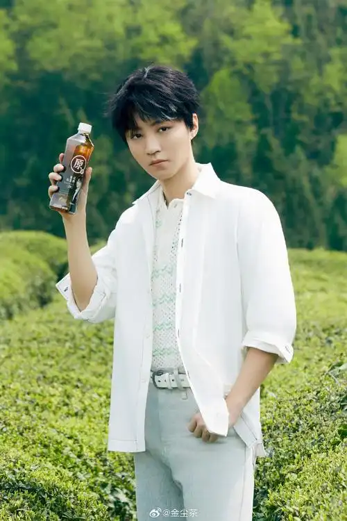 金尘茶##王俊凯##还原一杯好茶##金尘茶品牌代言人王俊凯