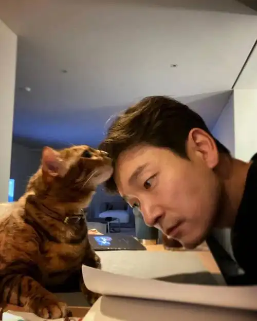 浅给曹承佑演员盖个图楼06