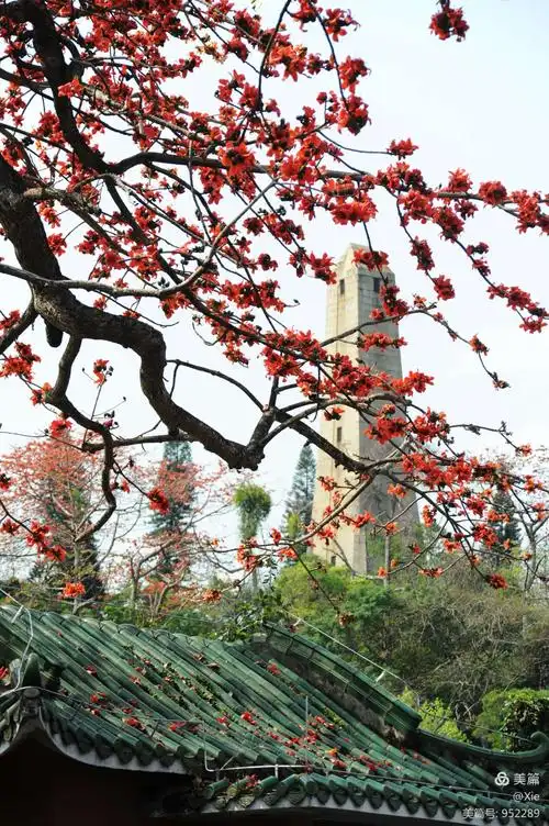 【望江南广州好】·朱光·诗·(朱光历任广州市长,广东省委副书记)