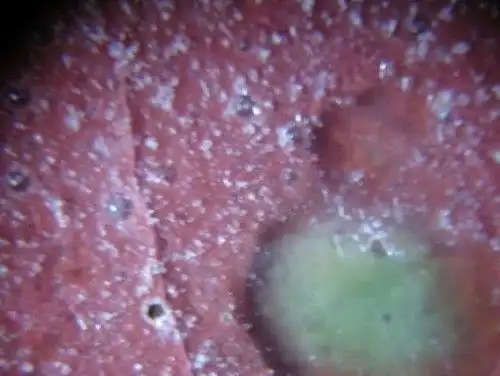 从瓷器气泡鉴定瓷器新老