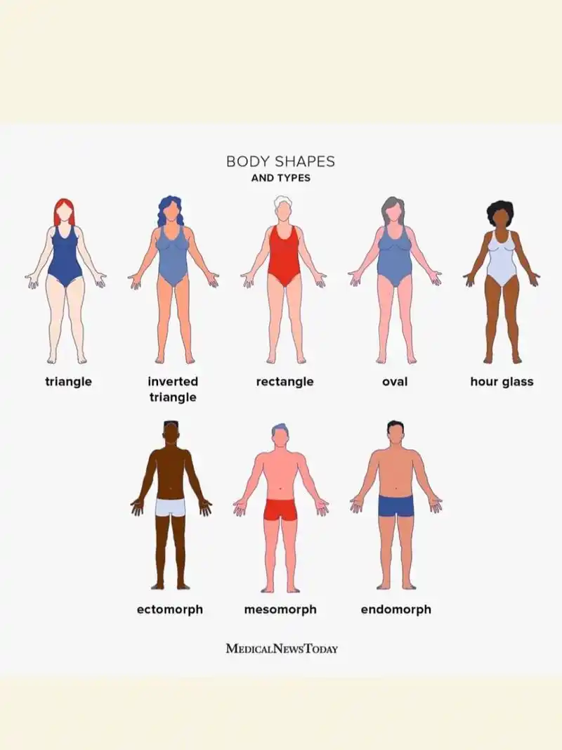 中英文体型大对照 | 你是什么型?