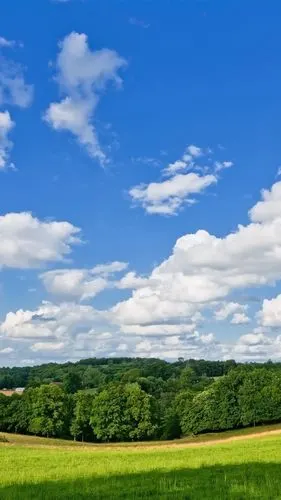 iphone 壁纸 夏天,自然,草甸,树,云,蓝天
