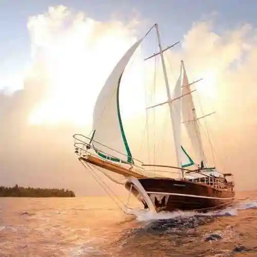 海阔天空2792头像