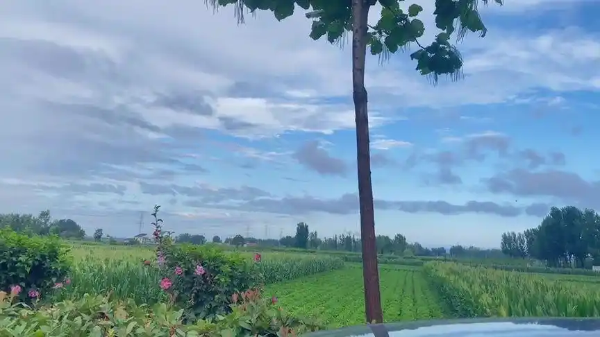 我只希望,生活圆满,没有遗憾,作乐人间97前提是和你在一起