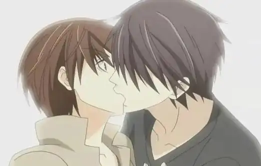 喜欢看耽美的人应该都知道这部动漫,其中的一个男主还是女装大佬,他很