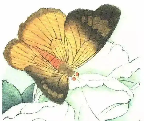 李晓明工笔蝴蝶设色步骤示范快收藏