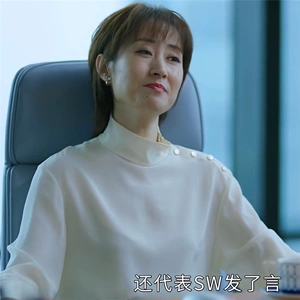 欧美正青春刘敏涛舒婉婷明星同款女装立领长袖套头衬衫职业上衣女