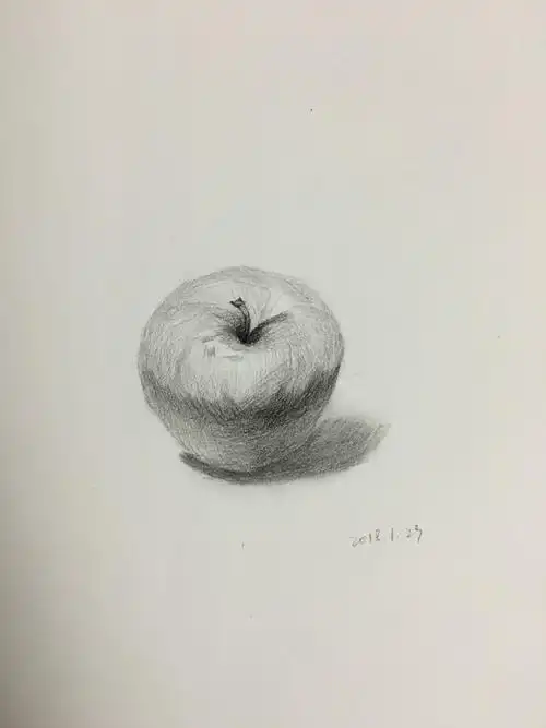 一组水果单体素描