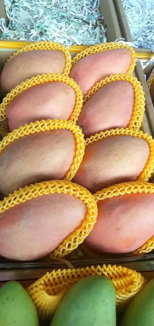 海南三亚大芒果红芒红玉芒甜心芒爱言文芒10斤礼盒装海南特产