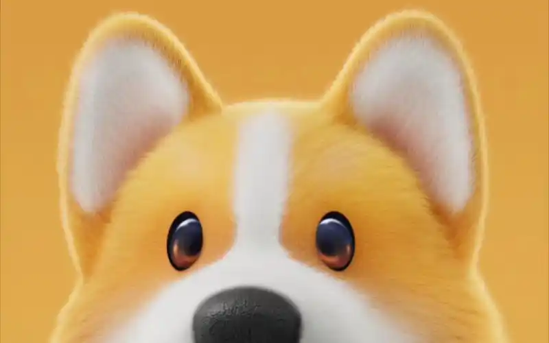 分享一点动物派对壁纸