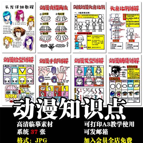 手绘q版动漫基础知识点三庭五眼绘画海报培训机构画室墙电子素材