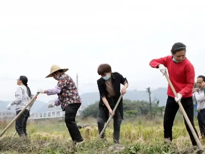 坚持党员带头群众主体广宁启动全民义务劳动日活动