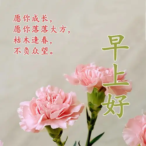 早上好祝福心语,2021年早安祝福语录图片大全,愿笑容天天不迟到!