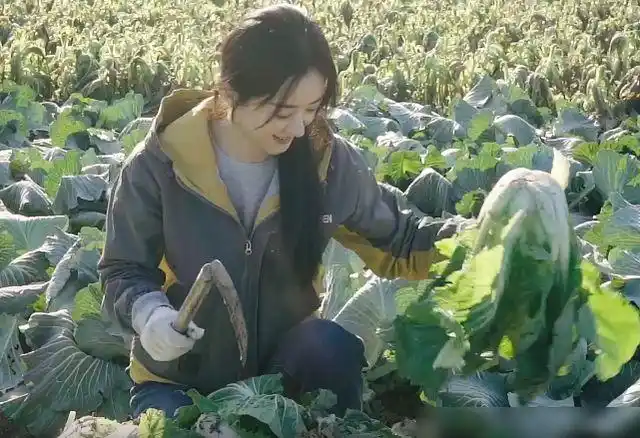 赵丽颖为了演出善于干农活的农村女人形象,顶着烈阳,穿着灰色的运动服