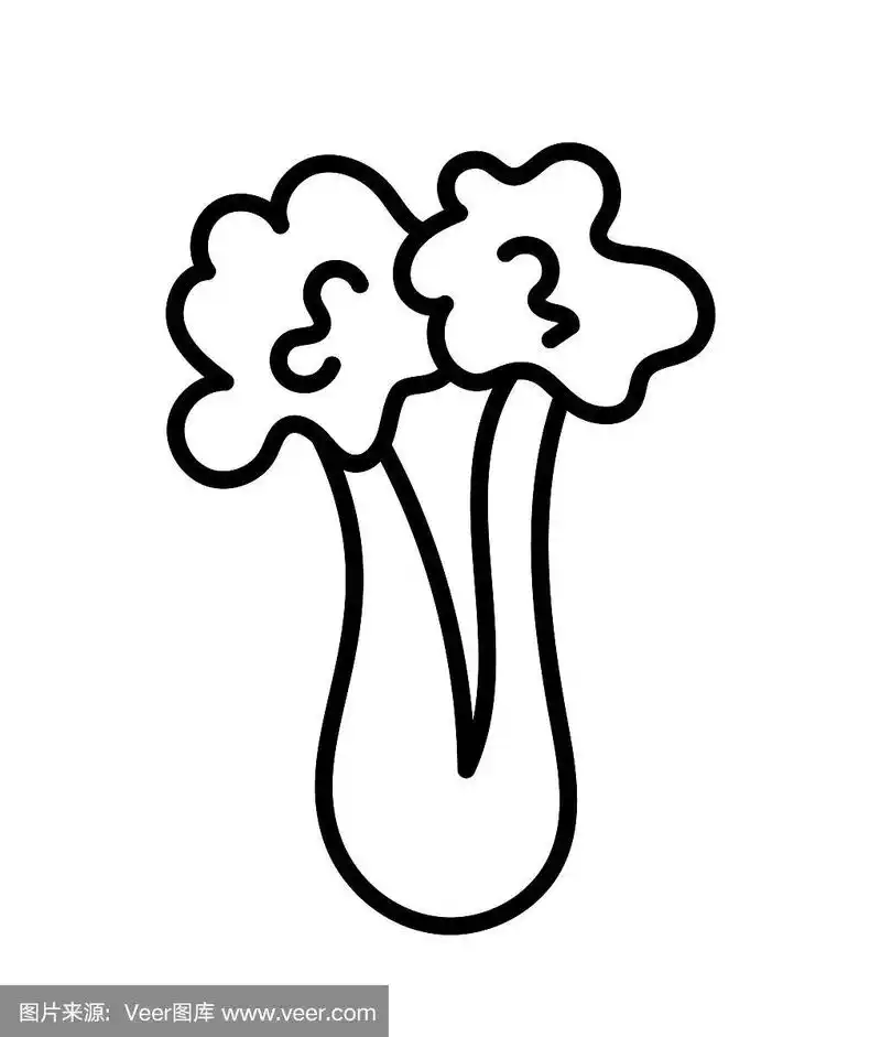 新鲜有机芹菜杆的线条图标.孤立的对象