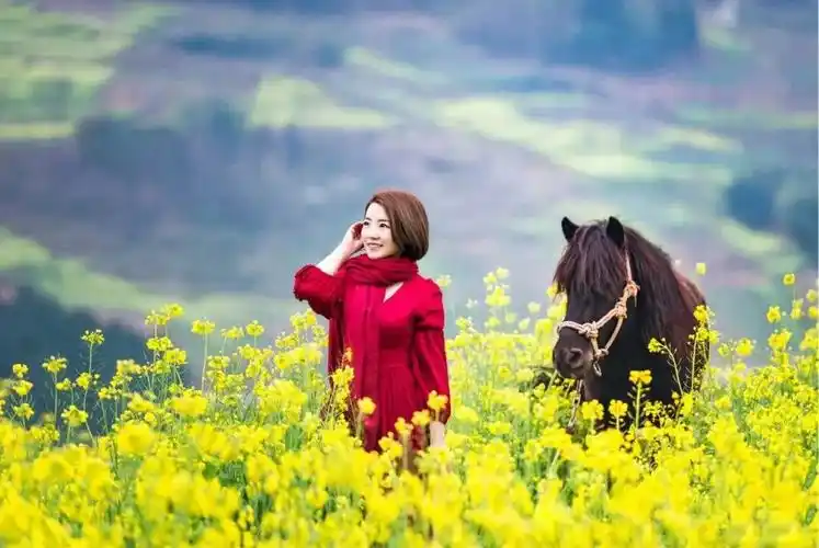 余生,愿做一个赏风景的人