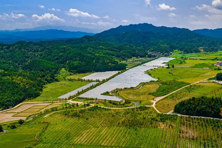 宜黄现代农业打造富美乡村