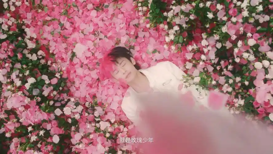 玫瑰无原则 心动至上#小鬼王琳凯  #参半