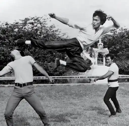 目前为止,能被世界明星认可的功夫大师,只有成龙,李连杰和李小龙